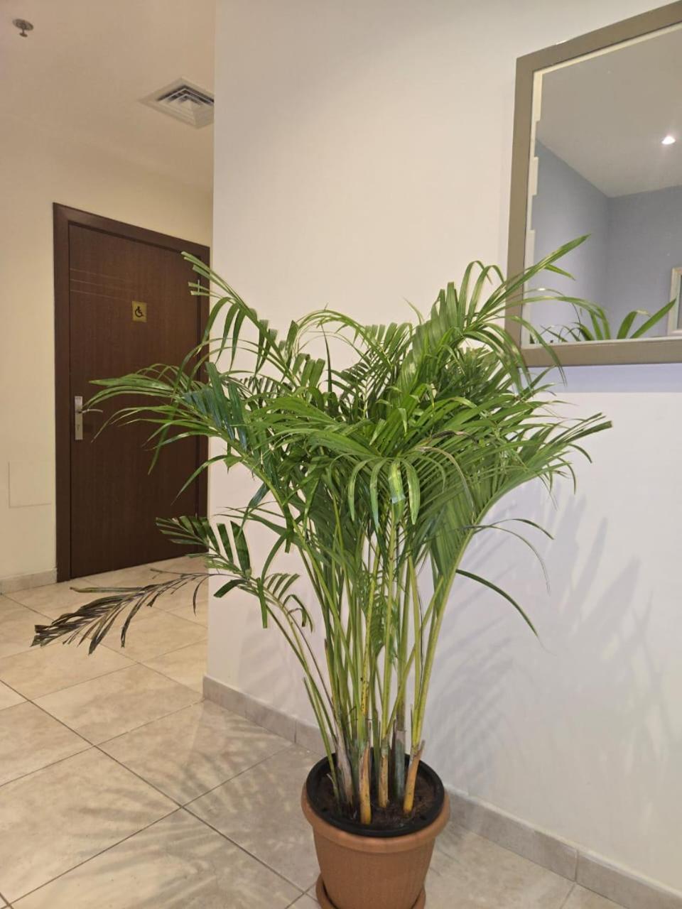 Al Raya Hotel Apartments ดูไบ ภายนอก รูปภาพ